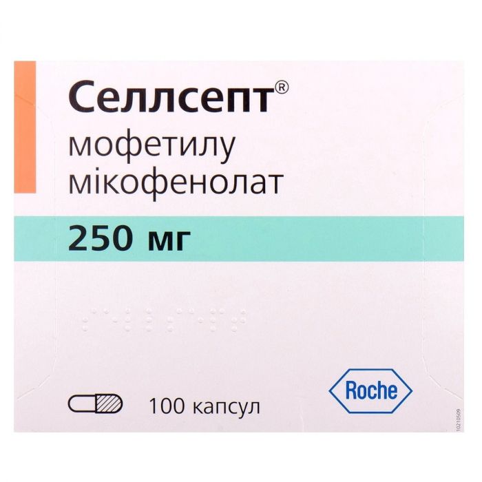 Селлсепт 250 мг капсули №100 в інтернет-аптеці
