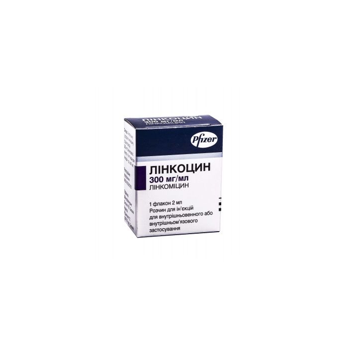 Лінкоцин розчин для ін'єкцій 300 мг/мл 2 мл №1 в інтернет-аптеці