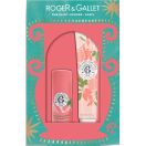 Набір Roger&Gallet (Роже&Галлє) Квітка інжиру (Бальзам для губ 3,5 г + Крем для рук 30 мл) замовити