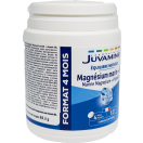 Juvamine (Жувамин) Морской магний+витамин B6. Нервный баланс таблетки №120 цена