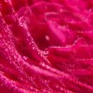 Гель для душу Roger&Gallet (Роже&Галье) Троянда 500 мл в аптеці