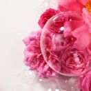 Гель для душу Roger&Gallet (Роже&Галье) Троянда 500 мл в аптеці