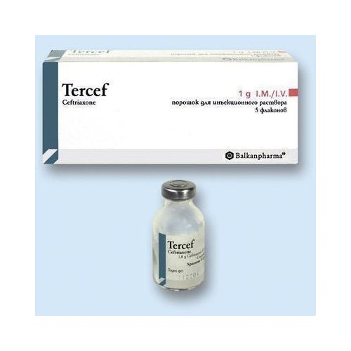 Терцеф 1 г порошок для ін'єкцій №5 в місті Васильків : ціни, характеристика. - фото №1 Терцеф 1 г порошок для ін'єкцій №5 в місті Васильків : ціни, характеристика.