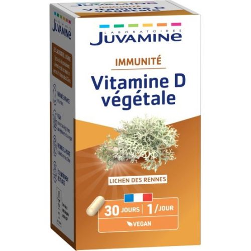 Juvamine (Жувамін) Вітамін D веганський капсули №30 в місті Чернівці : ціни, характеристика. - фото №1 Juvamine (Жувамін) Вітамін D веганський капсули №30 в місті Чернівці : ціни, характеристика.