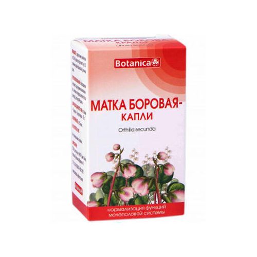 Матка Боровая Ботаника капли 50 мл купить - фото №1 Матка Боровая Ботаника капли 50 мл купить