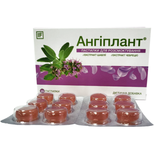 Ангіплант з екстрактами шавлії та чебрецю льодяники №24 в місті Софіївка : ціни, характеристика.  - фото №1 Ангіплант з екстрактами шавлії та чебрецю льодяники №24 в місті Софіївка : ціни, характеристика.