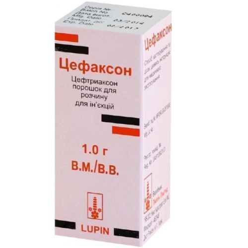 Цефаксон 1,0 г порошок флакон №1 в місті Первомайськ : ціни, характеристика. - фото №1 Цефаксон 1,0 г порошок флакон №1 в місті Первомайськ : ціни, характеристика.