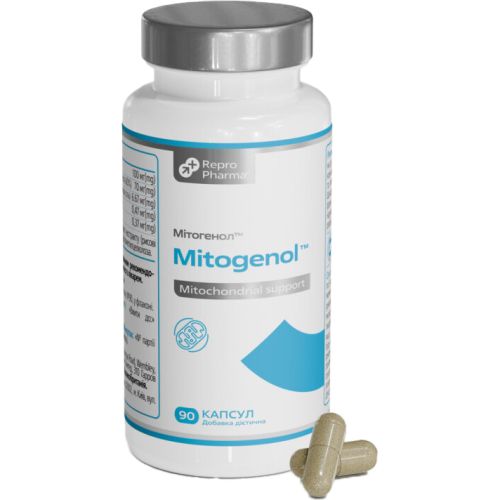 МитоГенол капсулы №90 в интернет-аптеке - фото №1 МитоГенол капсулы №90 в интернет-аптеке