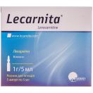 Лекарніта розчин для ін'єкцій 1 г/5 мл ампули №5 в інтернет-аптеці foto 1