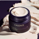Крем Caudalie Premier Cru Rich антивозрастной для лица сменный блок 50 мл в интернет-аптеке foto 3