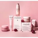 Крем Caudalie Resveratrol Lift Кашемир 50 мл в аптеке foto 3