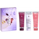 Набор Caudalie (Кодали) Трио кремов для рук (Крем Vinotherapist 30 мл+Крем The des Vignes 30 мл+Крем Rose de Vigne 30 мл) цена foto 2