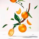 Мило Roger&Gallet (Роже&Галье) Апельсинове дерево 100 г в інтернет-аптеці foto 3