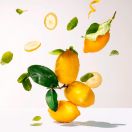 Мило Roger&Gallet (Роже&Галье) Цедрат 100 г недорого foto 3