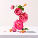 Мыло Roger&Gallet (Роже&Галье) Роза 100 г ADD foto 3
