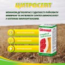 Цитросепт экстракт семян грейпфрута для иммунитета капли 50 мл в Украине foto 4