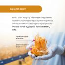 Дієтична добавка Кордицепс суперкапсули 400 мг капсули №60 в інтернет-аптеці foto 6