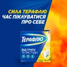ТераФлю со вкусом лимона порошок для орального раствора пакет №10 в Украине foto 2