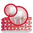 Зубна паста Parodontax Захист Ясен + Свіжий Подих і Чутливість Зубів 75 мл недорого foto 5