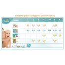 Підгузки Pampers Active Baby Extra Large (13-18 кг) №52 ціна foto 2