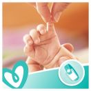 Cалфетки влажные Pampers Sensitive 208 шт. (4 уп. по 52 шт.) в интернет-аптеке foto 6
