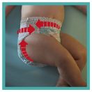 Підгузки-трусики Pampers Pants розмір 5 (12-17 кг) №152 ADD foto 5