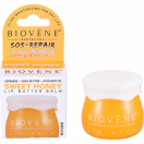Бальзам Biovene (Біовен) для сухих губ зволожуючий з медом та керамідами 8 г - фото №1 Бальзам Biovene (Біовен) для сухих губ зволожуючий з медом та керамідами 8 г в Україні foto 1