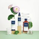 Шампунь Phyto (Фіто) Volume, 250 мл в Україні foto 4