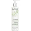 Молочко-демакияж Caudalie (Кодали) Нежное для лица и глаз 200 мл - фото №1 Молочко-демакияж Caudalie Нежное для лица и глаз 200 мл цена foto 1