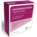 Кокарбоксилаза 0,05 г ліофілізат для розчину для ін`єкцій з розчинником 2 мл №10 недорого foto 1