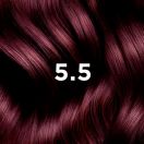 Крем-краска Phyto Фитоколор тон № 5.5 (светлый шатен акажу) недорого foto 2