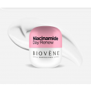 Крем Biovene (Біовен) для обличчя з ніацинамідом відновлюючий денний 50 мл в інтернет-аптеці foto 3