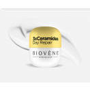 Крем Biovene (Біовен) для обличчя з керамідами  відновлюючий та зволожуючий денний 50 мл недорого foto 3