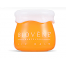 Бальзам Biovene (Біовен) для сухих губ зволожуючий з медом та керамідами 8 г замовити foto 3