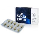 Sedacalm (Седакалм) таблетки №20 заказать foto 1