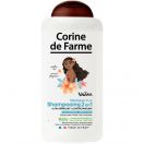 Шампунь Corine De Farme (Корін Де Фарм) проти заплутування волосся Моана серія Disney 300 мл ADD foto 1