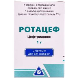 фото - фото №1 фото