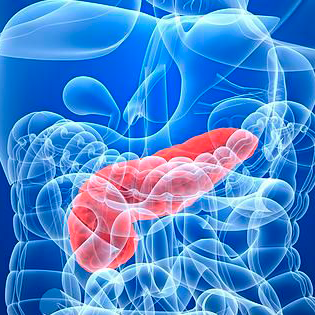 Препараты для поджелудочной железы